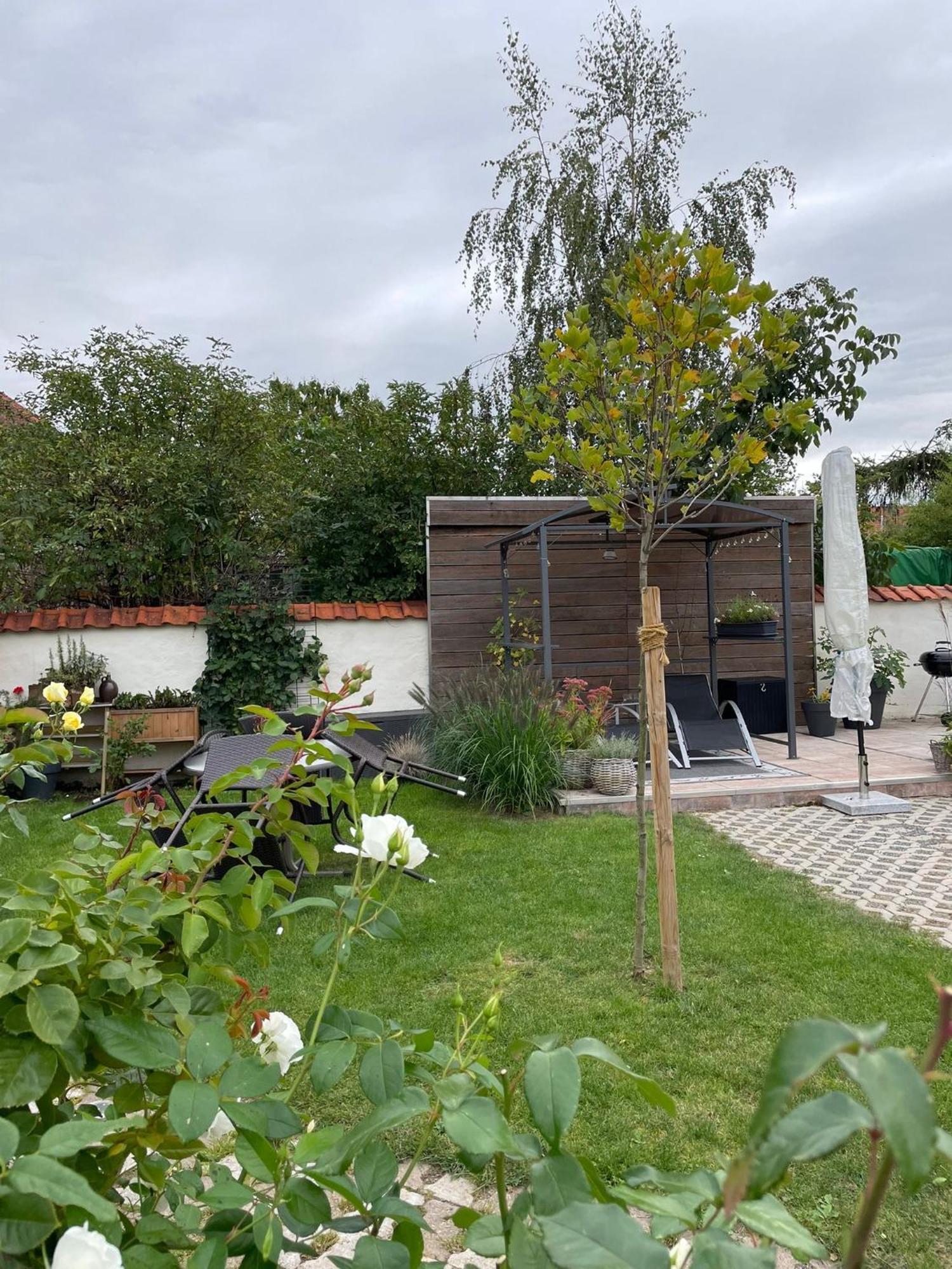 Gemuetliche Ferienwohnung Wernigerode Eksteriør billede